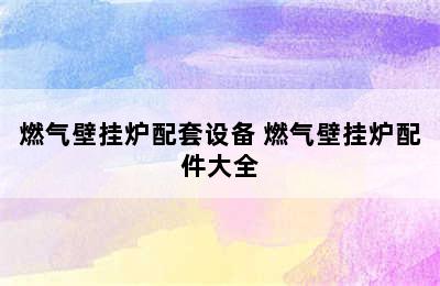 燃气壁挂炉配套设备 燃气壁挂炉配件大全